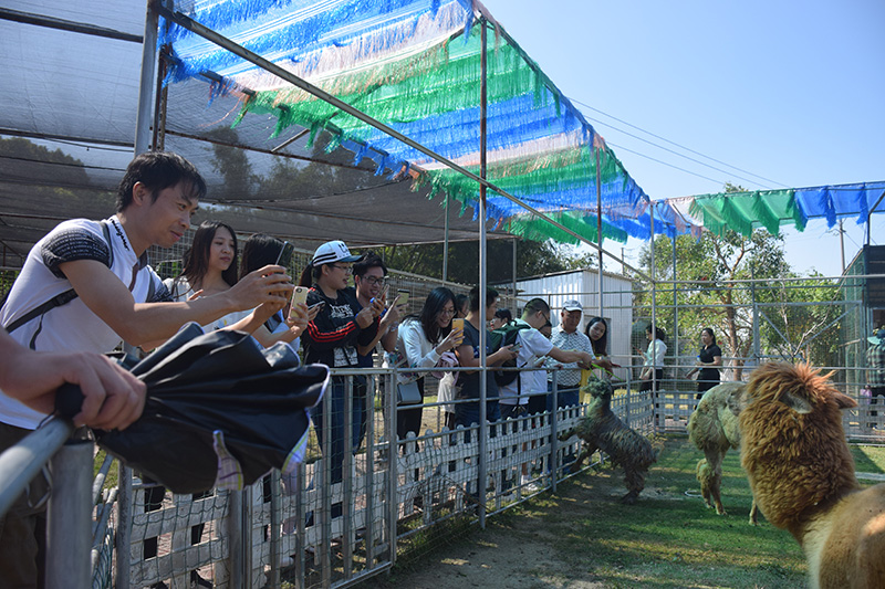 6686体育网页登录园区党委举办了以“不忘初心·牢记使命”为主题的主题党日活动